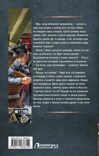 Я из Железной Бригады. Гражданская война