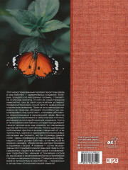 Бабочки - Фото 1