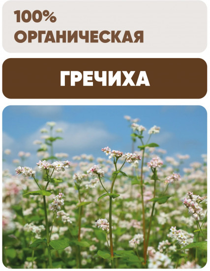 Гречневая ядрица быстроразваривающаяся