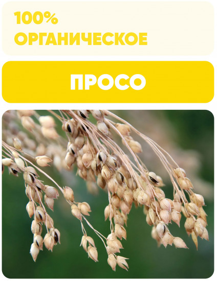 Пшено шлифованное