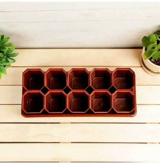 Набор для рассады