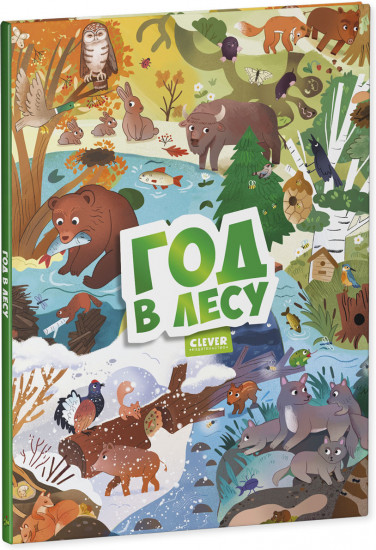 Виммельбух. Круглый год. Год в лесу