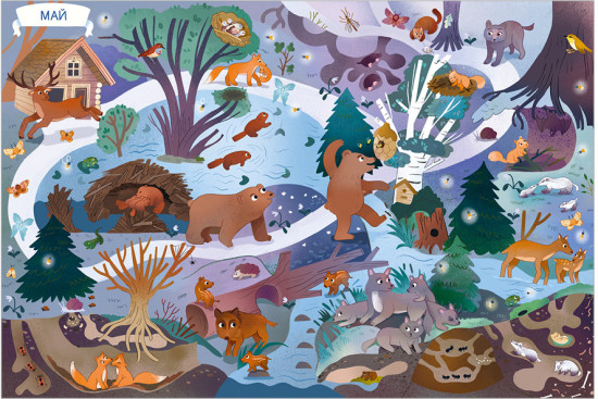 Виммельбух. Круглый год. Год в лесу