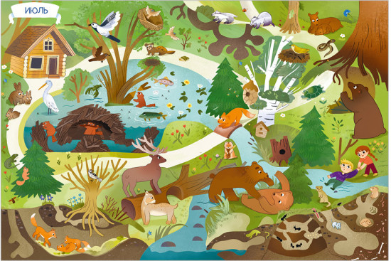 Виммельбух. Круглый год. Год в лесу