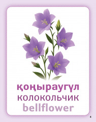 Дидактикалық карточкалар «Гүлдер». Дидактические карточки «Цветы. Flowers» - Фото 1