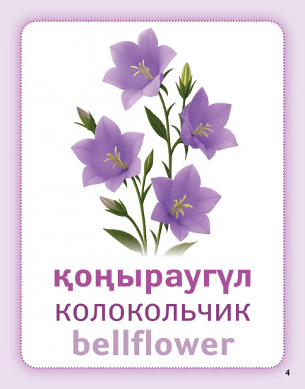 Дидактикалық карточкалар «Гүлдер». Дидактические карточки «Цветы. Flowers»