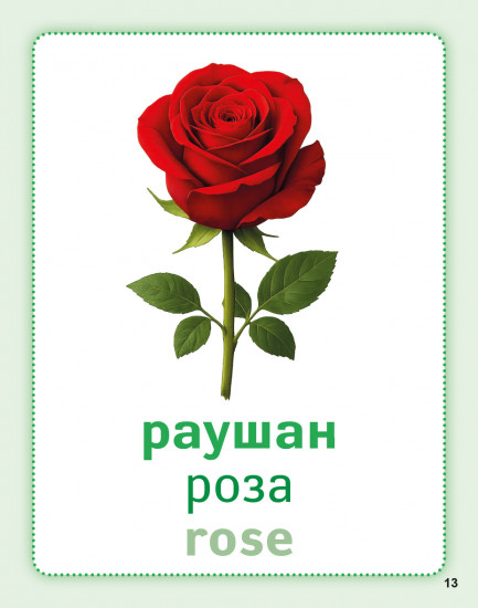 Дидактикалық карточкалар «Гүлдер». Дидактические карточки «Цветы. Flowers»
