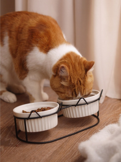 Двойная миска на подставке