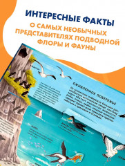 Все тайны подводного мира - Фото 3
