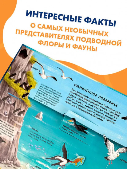Все тайны подводного мира