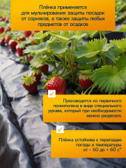 Пленка техническая - Фото 1