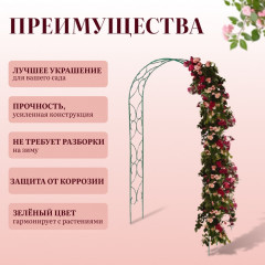 Арка садовая - Фото 2