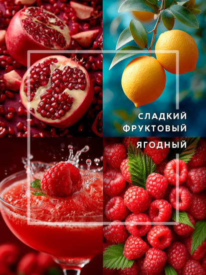 Диффузор ароматический «Искристый гренадин»