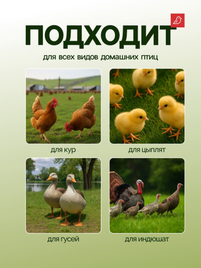 Кормушка бункерная для домашней птицы