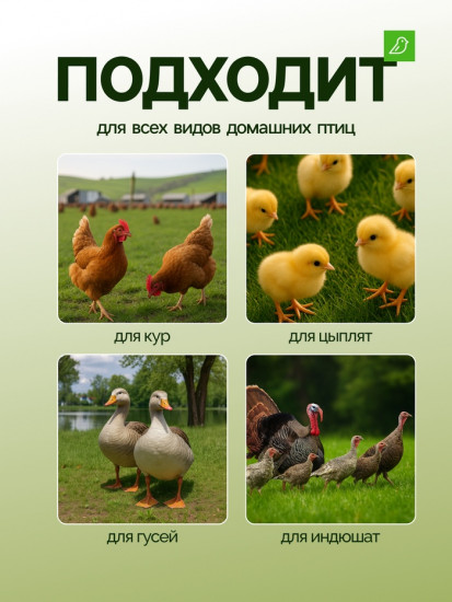 Кормушка бункерная для домашней птицы