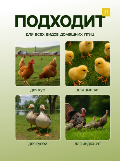 Кормушка для домашней птицы на 3 кг