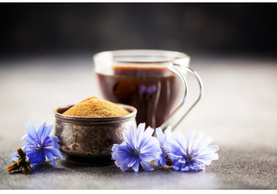 Цикорий «EL passa»