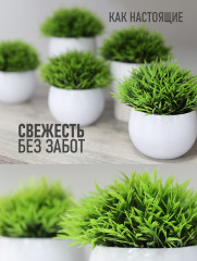 Набор искусственных растений в кашпо - Фото 4