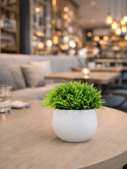 Набор искусственных растений в кашпо - Фото 10