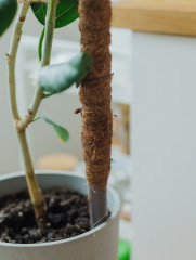 Опора для комнатных цветов - Фото 6