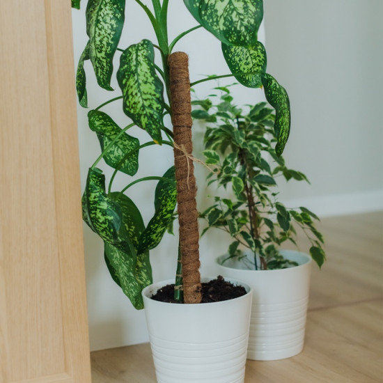 Опора для комнатных цветов