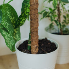 Опора для комнатных цветов - Фото 5