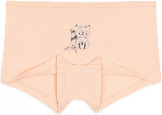 Набор трусиков для девочек