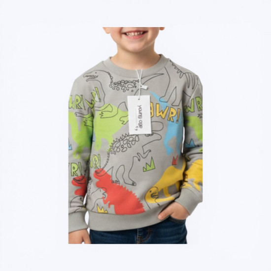 Свитшот для мальчика