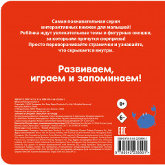 Загляни в окошко! Транспорт в городе - Фото 1