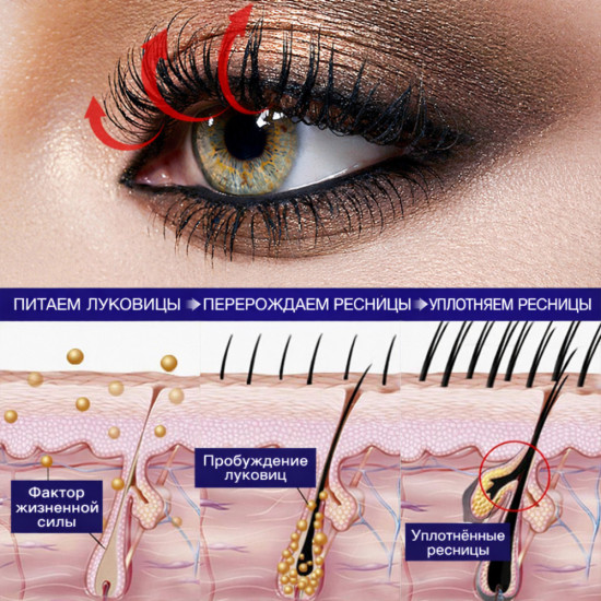 Сыворотка для роста, укрепления, густоты и изгиба ресниц «Long Dense»