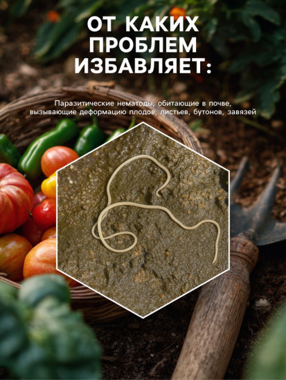 Биологически активный комплекс против нематоды «Флагрин-Д»