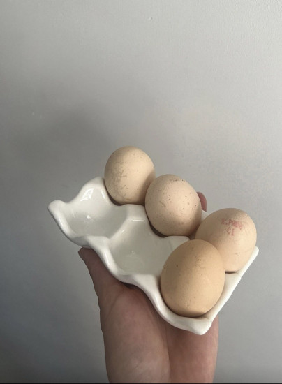 Подствка под яйцо