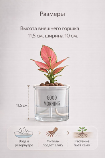 Горшок для цветов  «Good Morning»