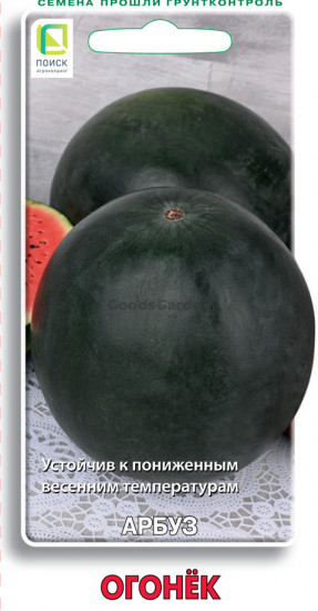Семена арбуза «Огонёк»