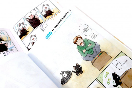 Сью и Тайчик. Книги 1-4. Комплект из 4 книг