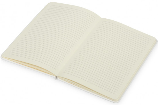 Блокнот «Wispy»