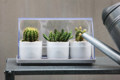 Лоток для выращивания растений Micro Green House - Фото 2