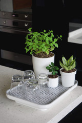 Лоток для полива растений «Oasis Tray» - Фото 1