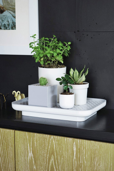 Лоток для полива растений «Oasis Tray»