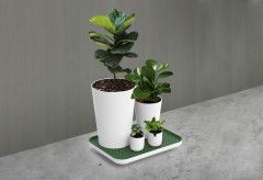 Лоток для полива растений «Oasis Tray» - Фото 5