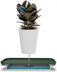 Лоток для полива растений «Oasis Tray» - Фото 7