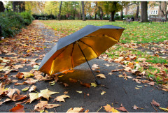 Зонт «Black and Gold» - Фото 1