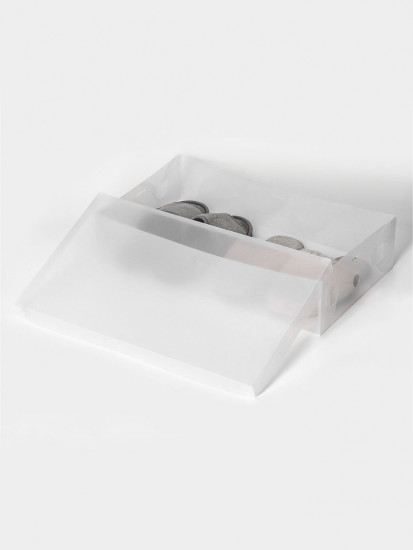 Коробка для хранения сапог с крышкой «Uni size»