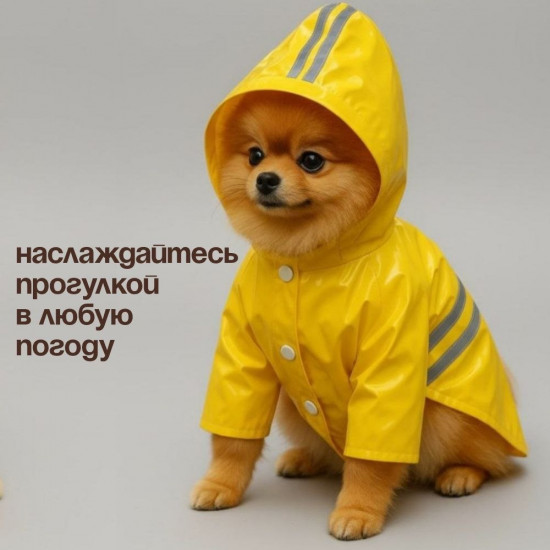 Дождевик для собак мелких пород