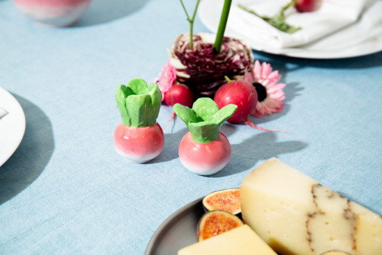 Набор из солонки и перечницы «Radish»