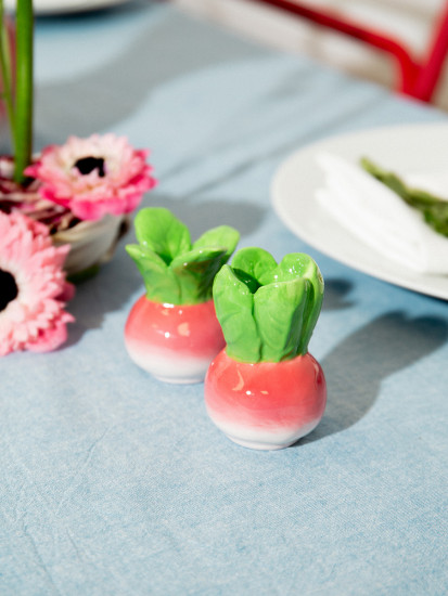 Набор из солонки и перечницы «Radish»