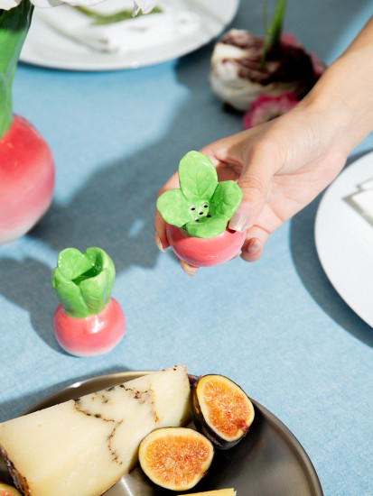Набор из солонки и перечницы «Radish»