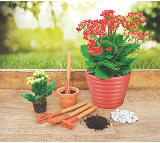 Набор садовых инструментов