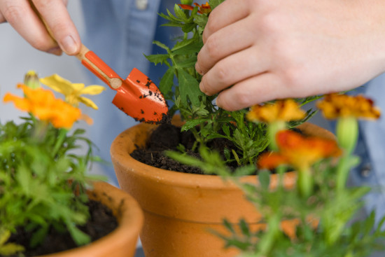 Набор садовых инструментов