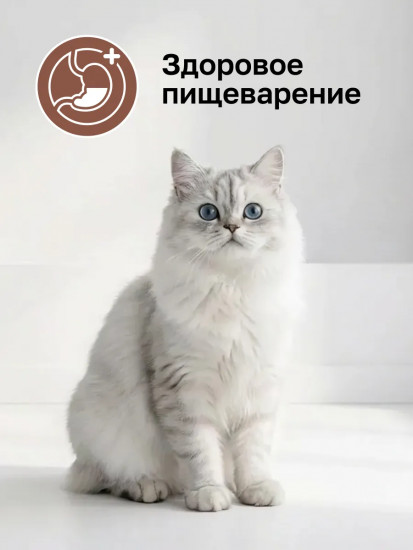 Корм для кошек «Gastrointestinal»